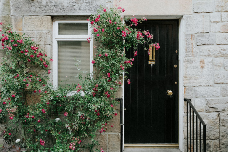 Stylish Doors